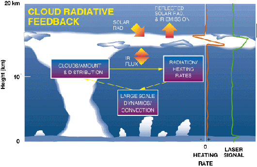 Diagram: Cloud Radiative Feedback